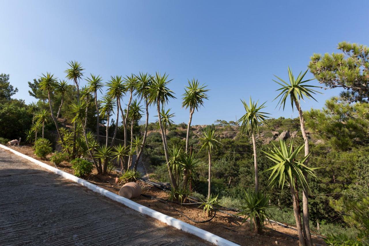 Ferma Hill Apartments Dış mekan fotoğraf