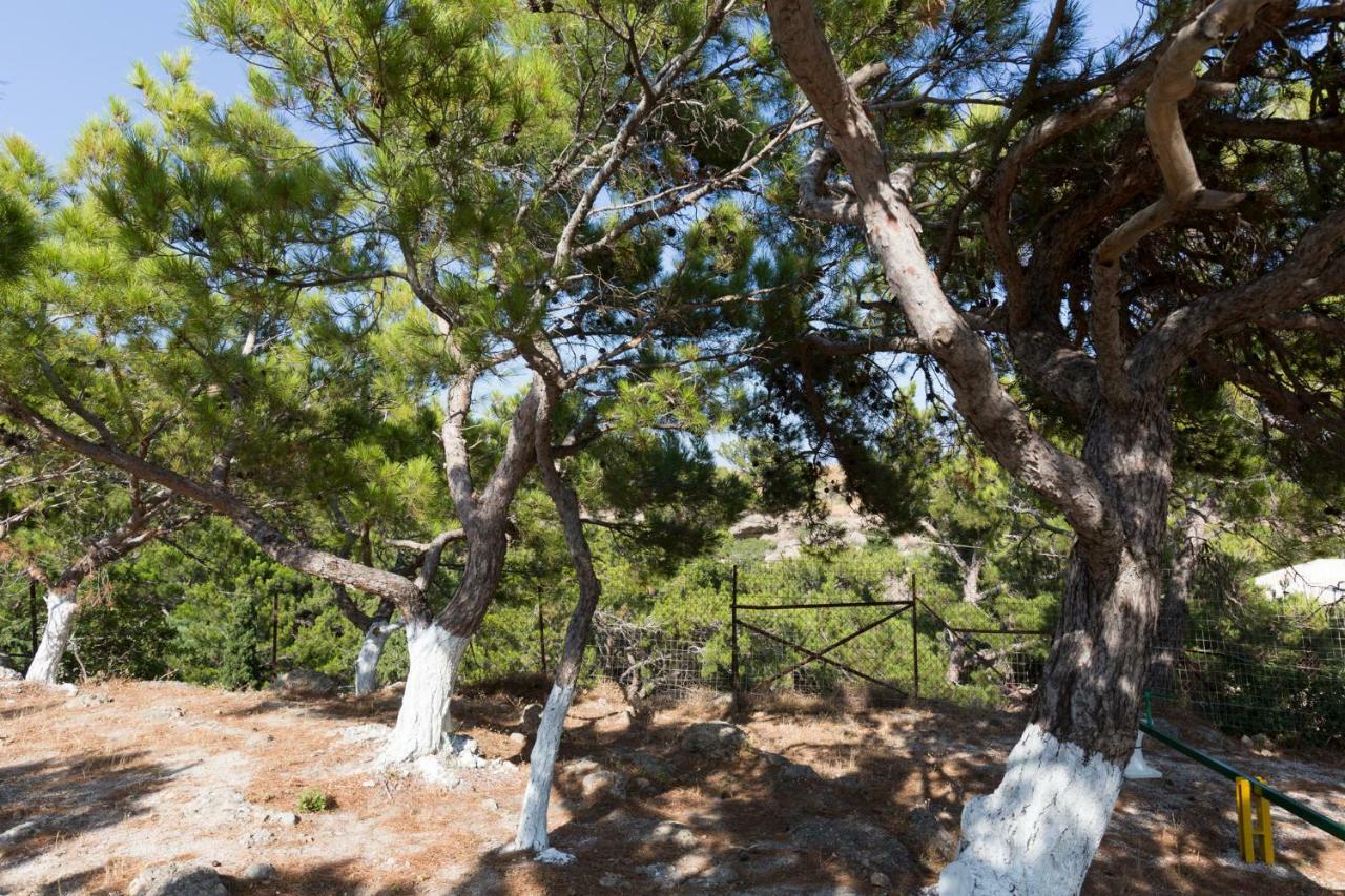 Ferma Hill Apartments Dış mekan fotoğraf