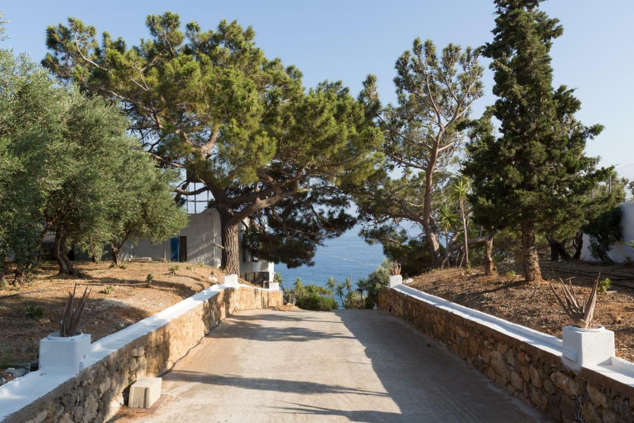 Ferma Hill Apartments Dış mekan fotoğraf