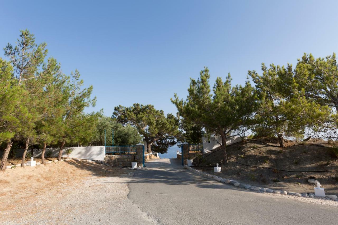 Ferma Hill Apartments Dış mekan fotoğraf